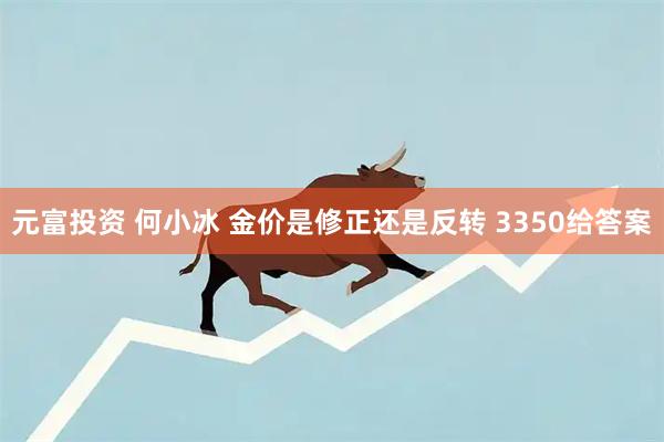 元富投资 何小冰 金价是修正还是反转 3350给答案