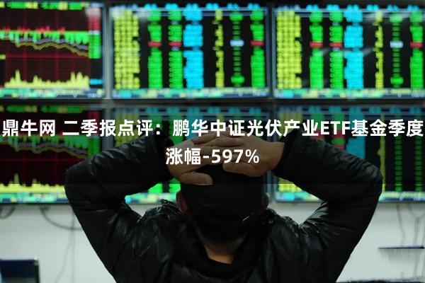 鼎牛网 二季报点评:鹏华中证光伏产业ETF基金季度涨幅-597%